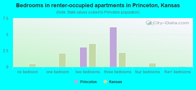 Bedrooms in renter-occupied apartments in Princeton, Kansas