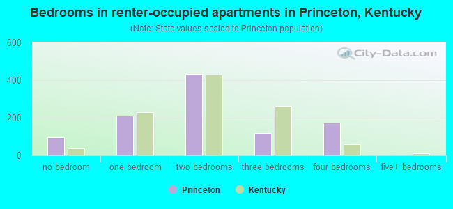 Bedrooms in renter-occupied apartments in Princeton, Kentucky