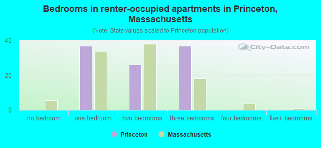 Bedrooms in renter-occupied apartments in Princeton, Massachusetts