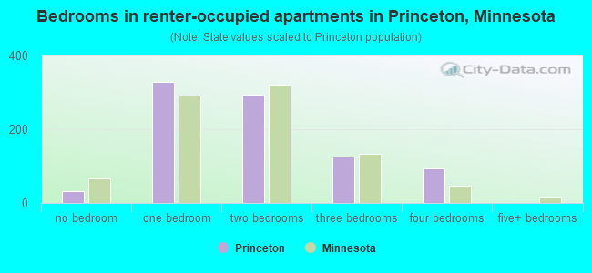 Bedrooms in renter-occupied apartments in Princeton, Minnesota