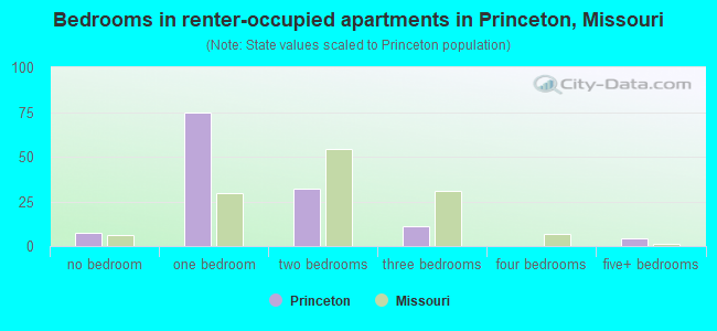 Bedrooms in renter-occupied apartments in Princeton, Missouri