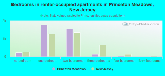Bedrooms in renter-occupied apartments in Princeton Meadows, New Jersey