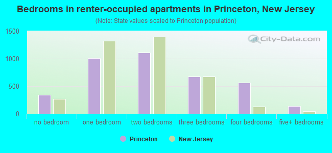 Bedrooms in renter-occupied apartments in Princeton, New Jersey