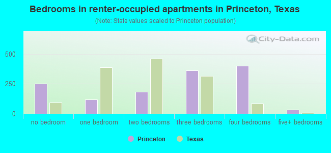 Bedrooms in renter-occupied apartments in Princeton, Texas
