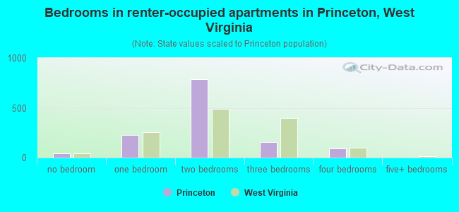 Bedrooms in renter-occupied apartments in Princeton, West Virginia