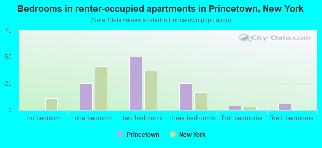 Bedrooms in renter-occupied apartments in Princetown, New York