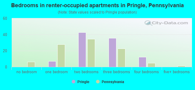 Bedrooms in renter-occupied apartments in Pringle, Pennsylvania