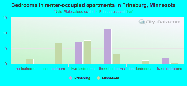 Bedrooms in renter-occupied apartments in Prinsburg, Minnesota