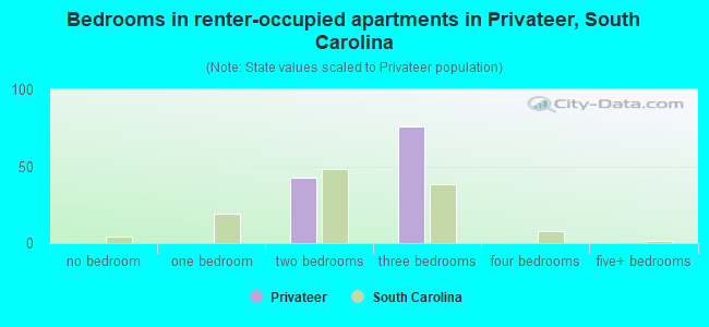 Bedrooms in renter-occupied apartments in Privateer, South Carolina