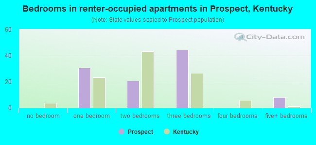Bedrooms in renter-occupied apartments in Prospect, Kentucky