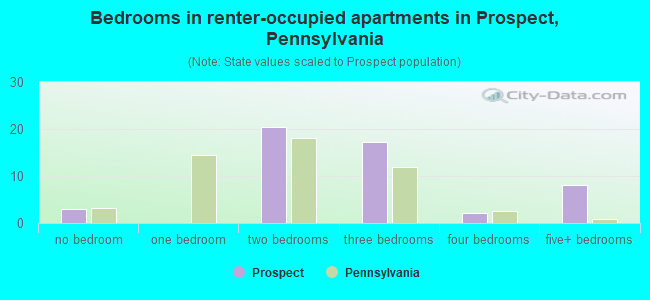 Bedrooms in renter-occupied apartments in Prospect, Pennsylvania