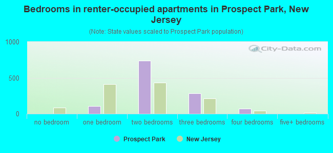 Bedrooms in renter-occupied apartments in Prospect Park, New Jersey