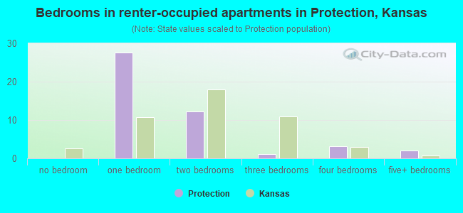 Bedrooms in renter-occupied apartments in Protection, Kansas