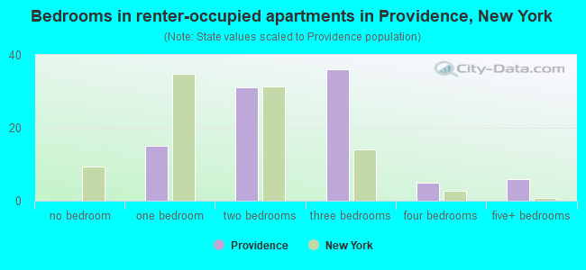 Bedrooms in renter-occupied apartments in Providence, New York