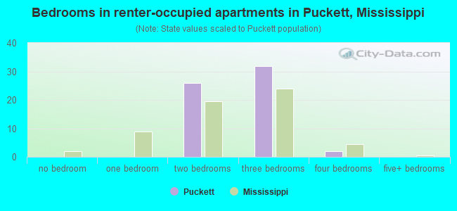 Bedrooms in renter-occupied apartments in Puckett, Mississippi