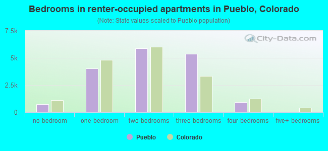 Bedrooms in renter-occupied apartments in Pueblo, Colorado