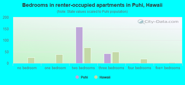 Bedrooms in renter-occupied apartments in Puhi, Hawaii