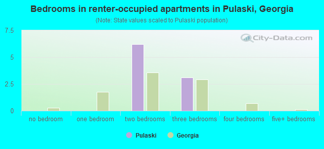 Bedrooms in renter-occupied apartments in Pulaski, Georgia
