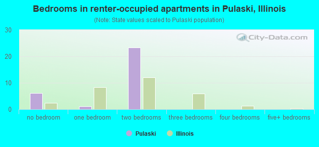 Bedrooms in renter-occupied apartments in Pulaski, Illinois