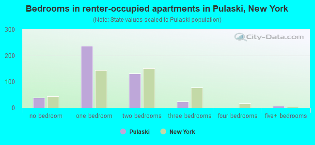 Bedrooms in renter-occupied apartments in Pulaski, New York