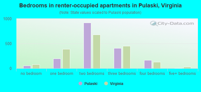 Bedrooms in renter-occupied apartments in Pulaski, Virginia