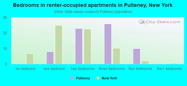 Bedrooms in renter-occupied apartments in Pulteney, New York