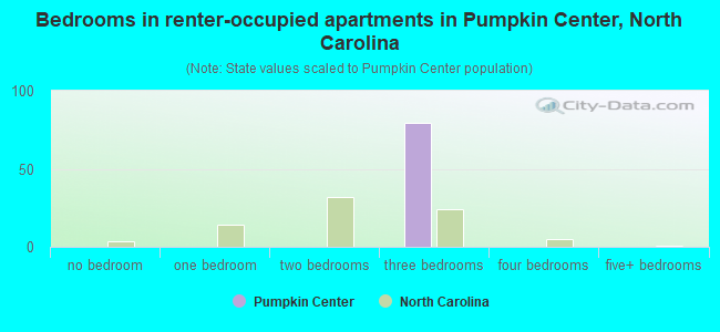 Bedrooms in renter-occupied apartments in Pumpkin Center, North Carolina