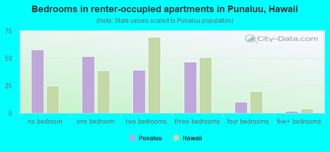 Bedrooms in renter-occupied apartments in Punaluu, Hawaii