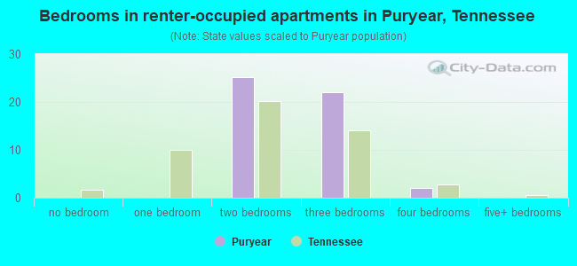 Bedrooms in renter-occupied apartments in Puryear, Tennessee