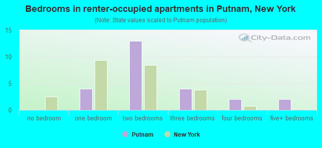 Bedrooms in renter-occupied apartments in Putnam, New York
