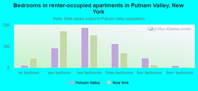 Bedrooms in renter-occupied apartments in Putnam Valley, New York