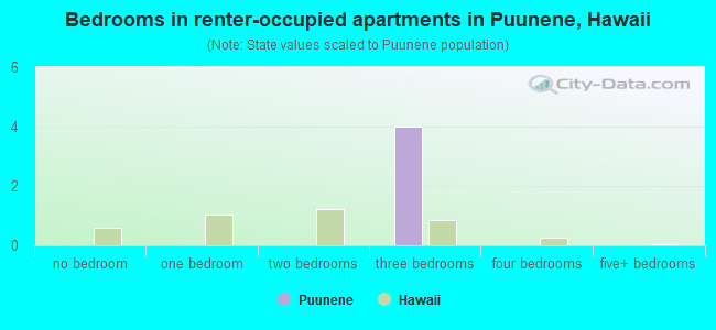 Bedrooms in renter-occupied apartments in Puunene, Hawaii