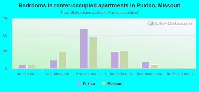 Bedrooms in renter-occupied apartments in Puxico, Missouri