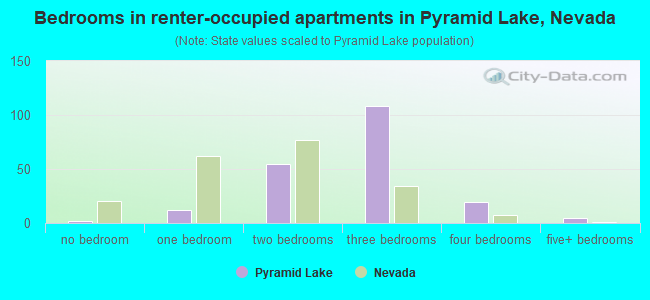Bedrooms in renter-occupied apartments in Pyramid Lake, Nevada