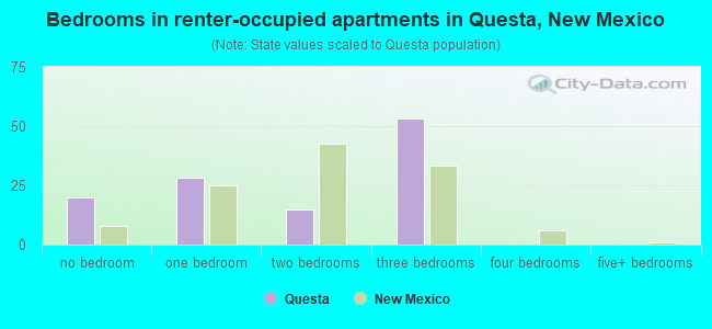 Bedrooms in renter-occupied apartments in Questa, New Mexico