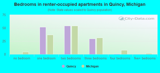 Bedrooms in renter-occupied apartments in Quincy, Michigan