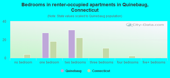 Bedrooms in renter-occupied apartments in Quinebaug, Connecticut