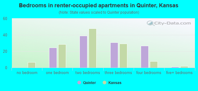 Bedrooms in renter-occupied apartments in Quinter, Kansas