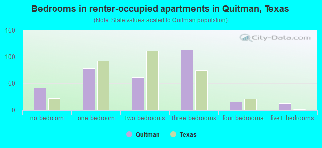Bedrooms in renter-occupied apartments in Quitman, Texas