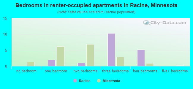 Bedrooms in renter-occupied apartments in Racine, Minnesota