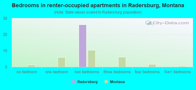 Bedrooms in renter-occupied apartments in Radersburg, Montana