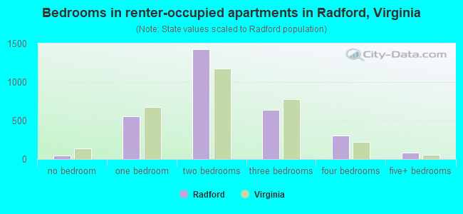 Bedrooms in renter-occupied apartments in Radford, Virginia