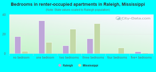 Bedrooms in renter-occupied apartments in Raleigh, Mississippi