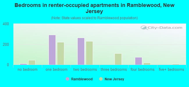 Bedrooms in renter-occupied apartments in Ramblewood, New Jersey