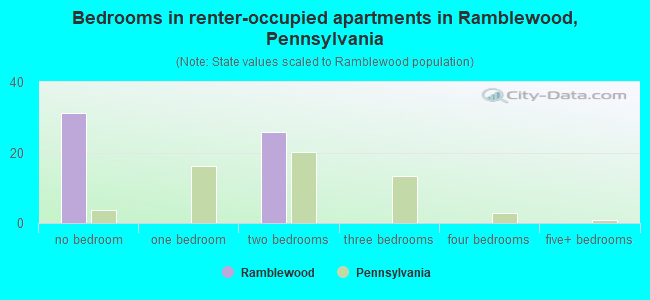 Bedrooms in renter-occupied apartments in Ramblewood, Pennsylvania