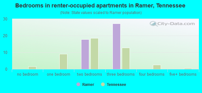 Bedrooms in renter-occupied apartments in Ramer, Tennessee