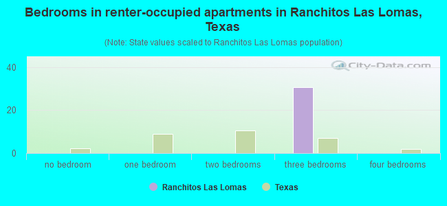 Bedrooms in renter-occupied apartments in Ranchitos Las Lomas, Texas