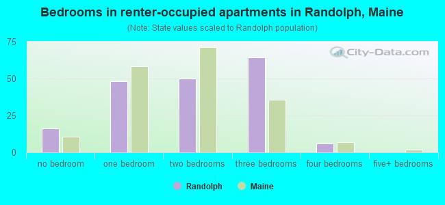 Bedrooms in renter-occupied apartments in Randolph, Maine