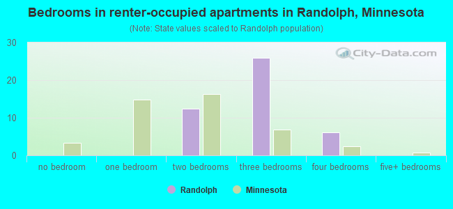 Bedrooms in renter-occupied apartments in Randolph, Minnesota