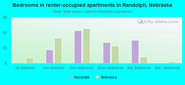 Bedrooms in renter-occupied apartments in Randolph, Nebraska
